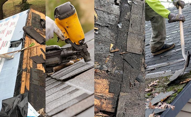 Roof Shingle