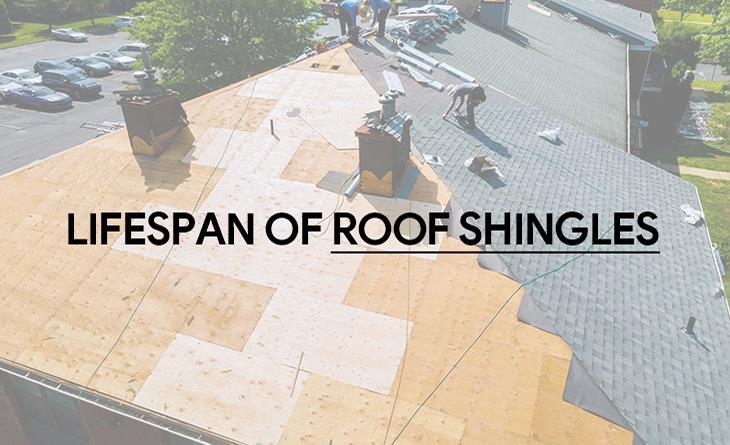 Roof Shingle